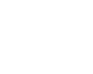 defyen_logo-300x240
