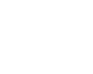 logo_southbird 300 x240